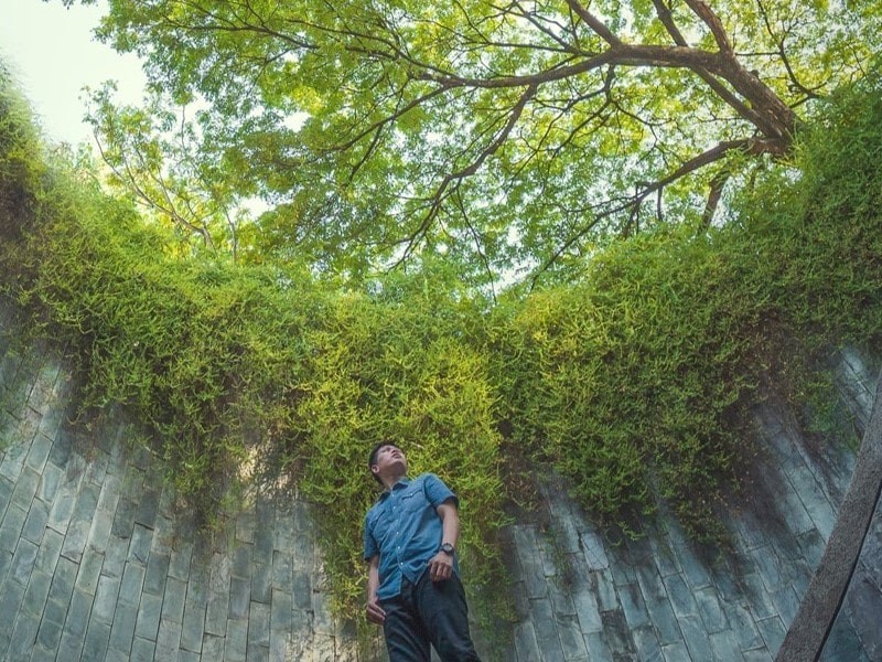 Man standing in front of greenery and brick wall
